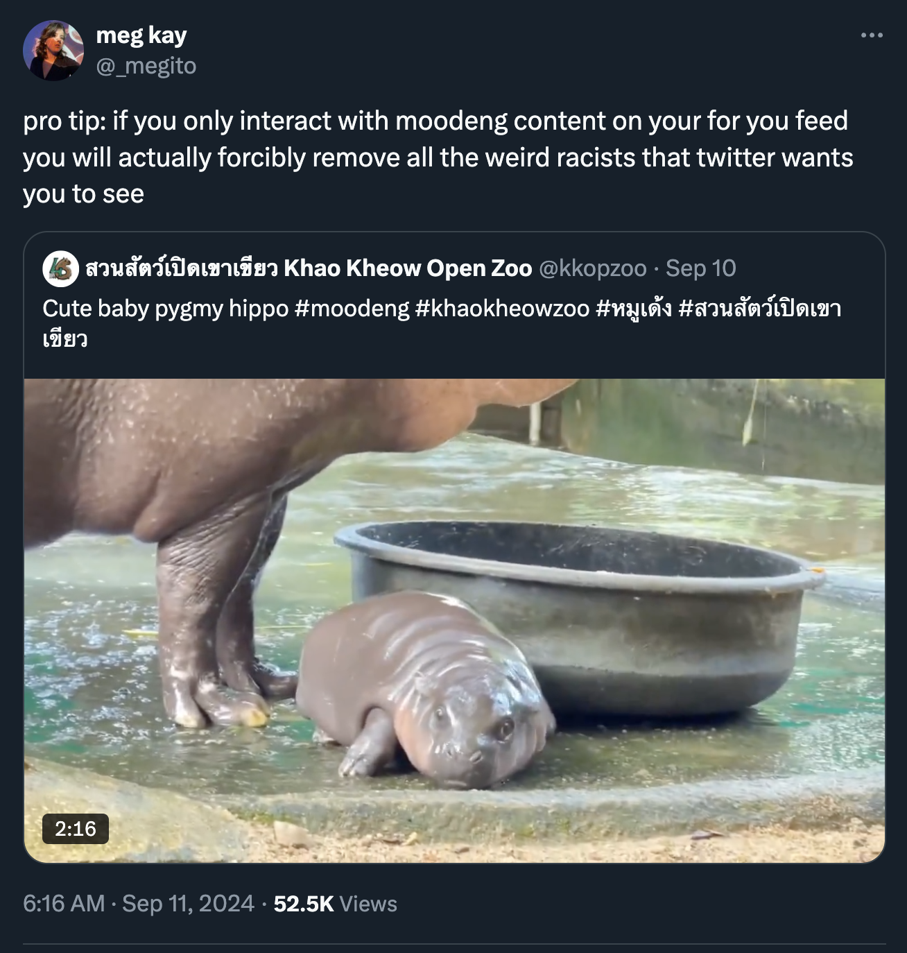 moo deng memes - hippopotamus - meg kay pro tip if you only interact with moodeng content on your for you feed you will actually forcibly remove all the weird racists that twitter wants you to see Khao Kheow Open Zoo Sep 10 Cute baby pygmy hippo ## Views